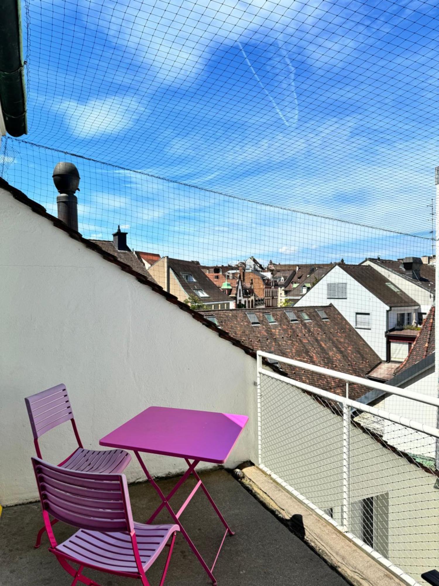 City Center Rooftop Balcony-Studio At Town Hall Basel Luaran gambar