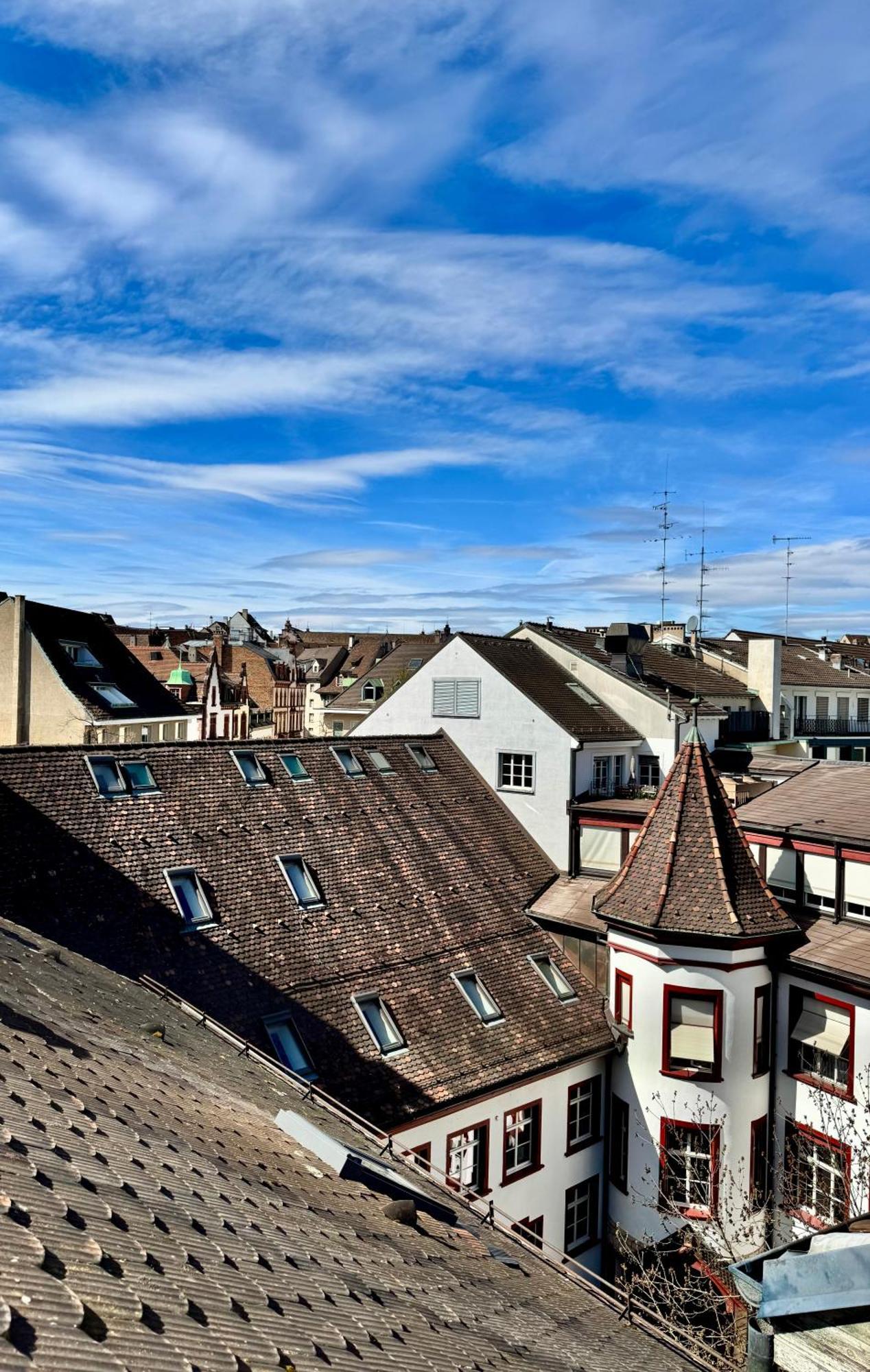 City Center Rooftop Balcony-Studio At Town Hall Basel Luaran gambar